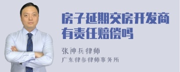 房子延期交房开发商有责任赔偿吗