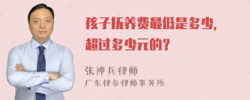 孩子抚养费最低是多少, 超过多少元的？