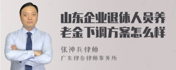 山东企业退休人员养老金下调方案怎么样