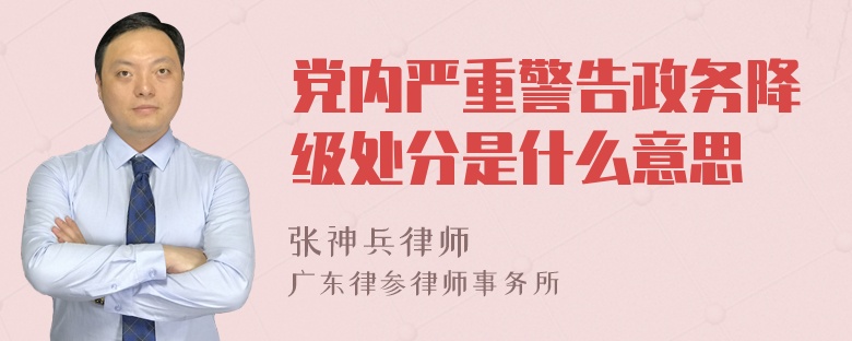 党内严重警告政务降级处分是什么意思