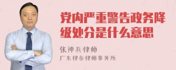 党内严重警告政务降级处分是什么意思