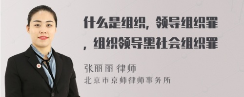 什么是组织, 领导组织罪, 组织领导黑社会组织罪