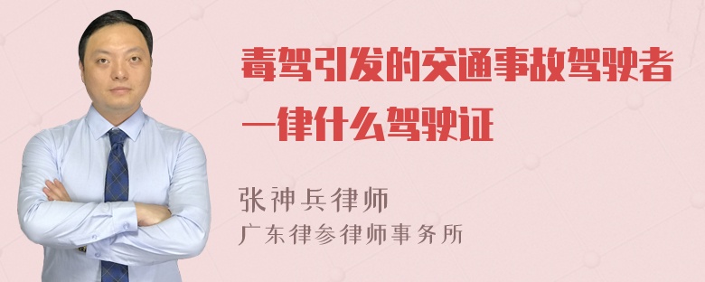 毒驾引发的交通事故驾驶者一律什么驾驶证