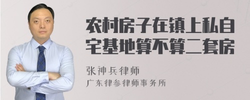 农村房子在镇上私自宅基地算不算二套房