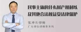 民事主体的什么财产权利以及其他合法权益受法律保护