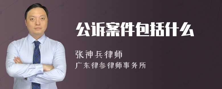 公诉案件包括什么