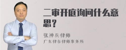 二审开庭询问什么意思？