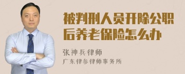 被判刑人员开除公职后养老保险怎么办