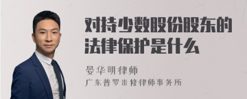 对持少数股份股东的法律保护是什么