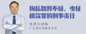 徇私舞弊不征、少征税款罪的刑事责任