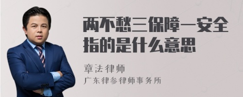 两不愁三保障一安全指的是什么意思