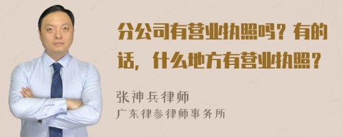 分公司有营业执照吗？有的话，什么地方有营业执照？