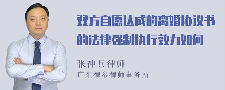 双方自愿达成的离婚协议书的法律强制执行效力如何