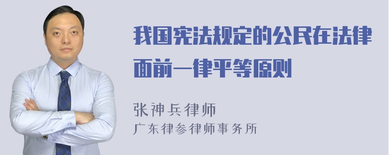 我国宪法规定的公民在法律面前一律平等原则