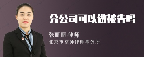 分公司可以做被告吗