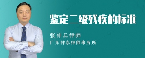 鉴定二级残疾的标准