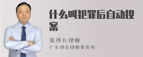 什么叫犯罪后自动投案