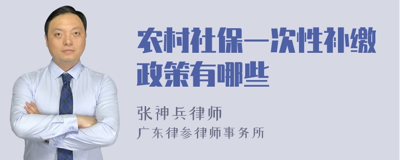 农村社保一次性补缴政策有哪些