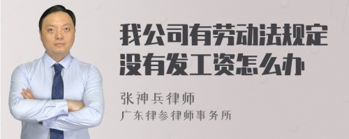 我公司有劳动法规定没有发工资怎么办