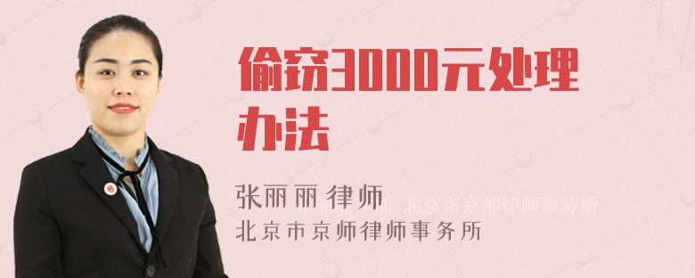 偷窃3000元处理办法