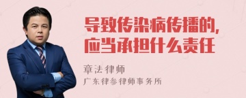 导致传染病传播的，应当承担什么责任