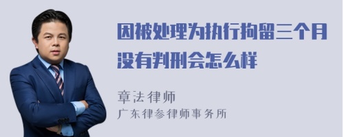 因被处理为执行拘留三个月没有判刑会怎么样