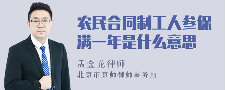 农民合同制工人参保满一年是什么意思