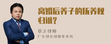 离婚后养子的抚养权归谁?