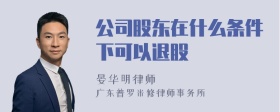 公司股东在什么条件下可以退股