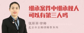 继承案件中继承权人可以有第三人吗