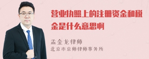 营业执照上的注册资金和税金是什么意思啊