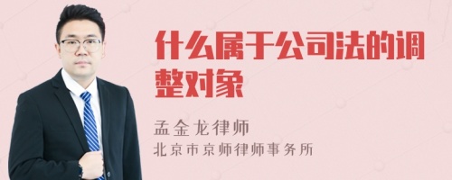 什么属于公司法的调整对象