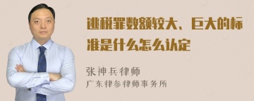 逃税罪数额较大、巨大的标准是什么怎么认定