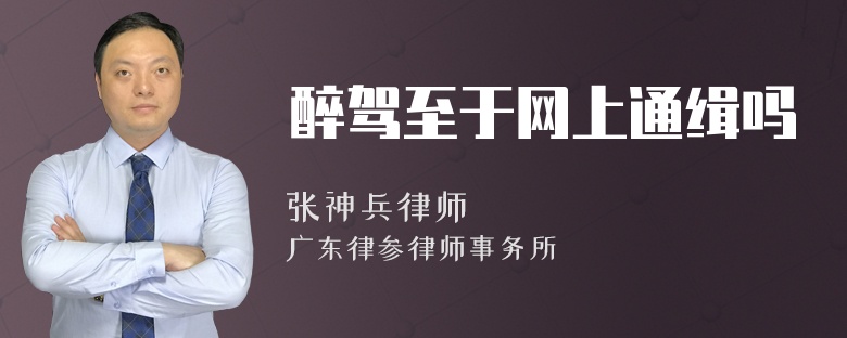 醉驾至于网上通缉吗