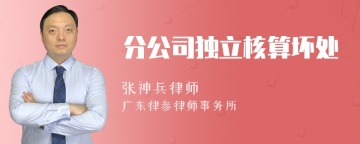 分公司独立核算坏处