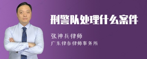 刑警队处理什么案件