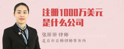 注册1000万美元是什么公司