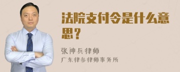 法院支付令是什么意思？