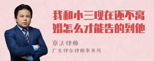 我和小三现在还不离婚怎么才能告的到他