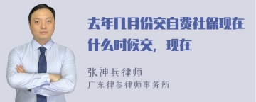 去年几月份交自费社保现在什么时候交，现在