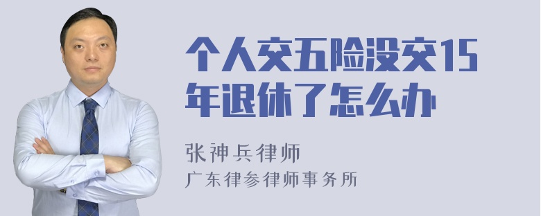 个人交五险没交15年退休了怎么办