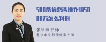 500条信息涉嫌诈骗5000万怎么判刑