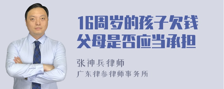 16周岁的孩子欠钱父母是否应当承担