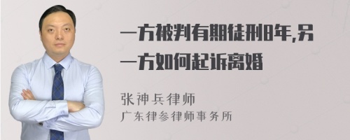 一方被判有期徒刑8年,另一方如何起诉离婚