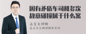 因有矛盾车司机多次故意碰撞属于什么案