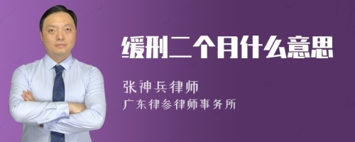 缓刑二个月什么意思