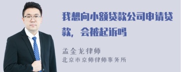 我想向小额贷款公司申请贷款，会被起诉吗