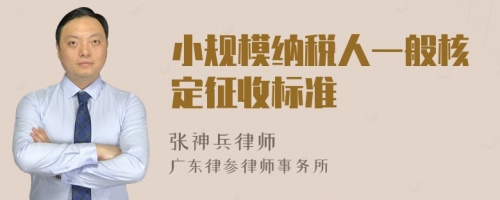 小规模纳税人一般核定征收标准