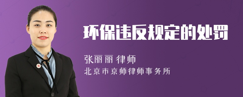 环保违反规定的处罚