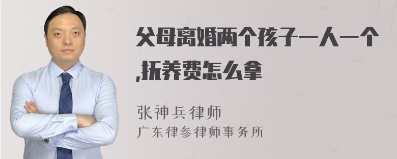 父母离婚两个孩子一人一个,抚养费怎么拿